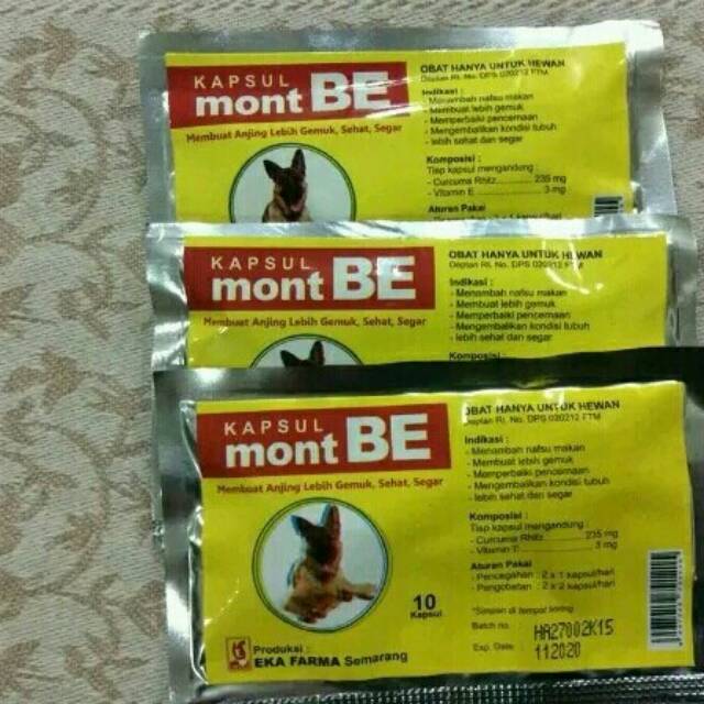 Penambah Nafsu Makan Anjing Montbe