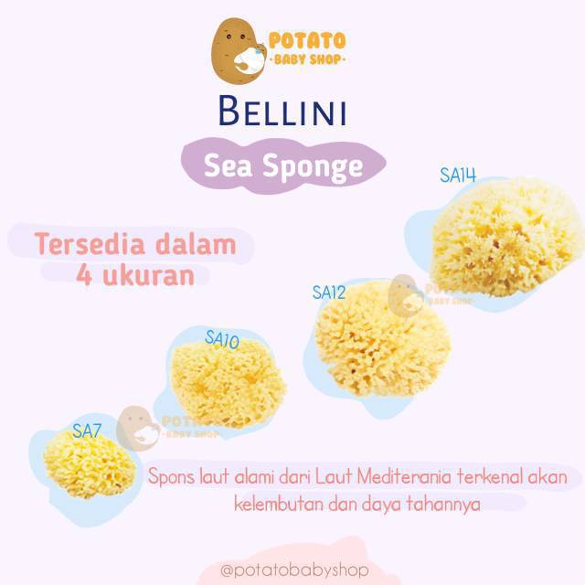 Bellini Sea Sponge / spons mandi bayi