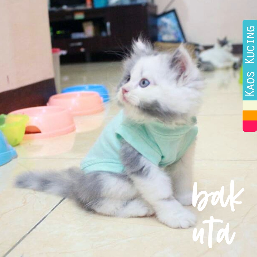 Kaos ucansee polos warna toska untuk kucing &amp; anjing /Jual Baju Kucing Terlengkap Size S-XL