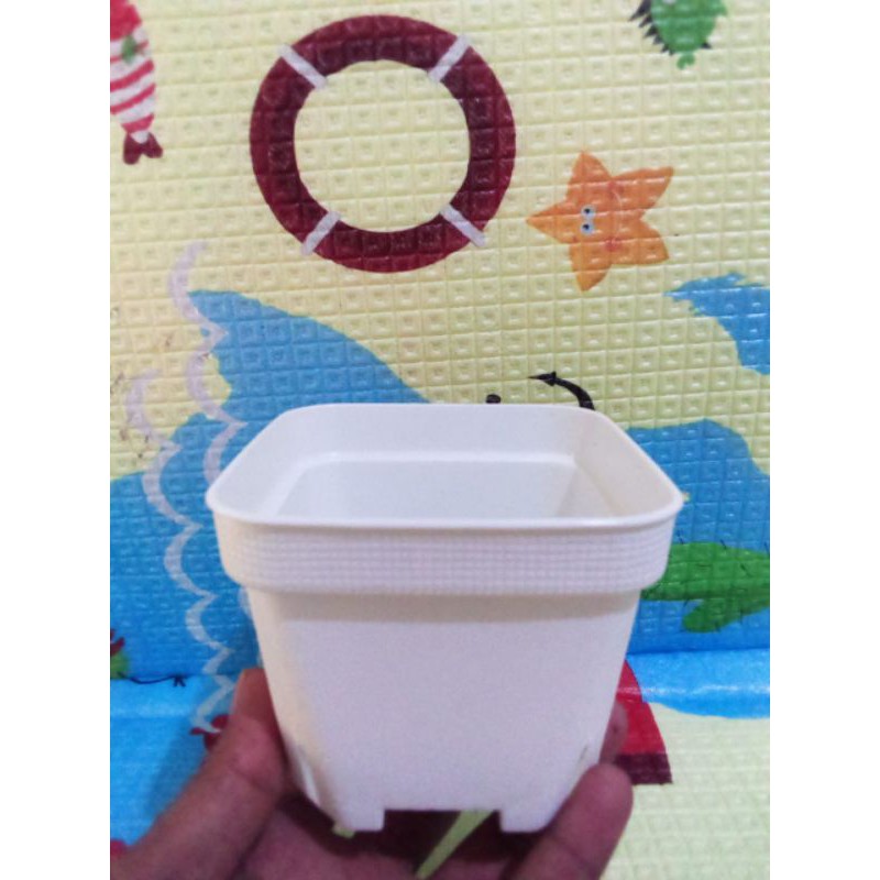 POT KOTAK BESAR SOFI L 10CM PUTIH TEBAL POT KAKTUS MIRIP JUOS JUOSS MINI POT SOFI PUTIH 10 CM