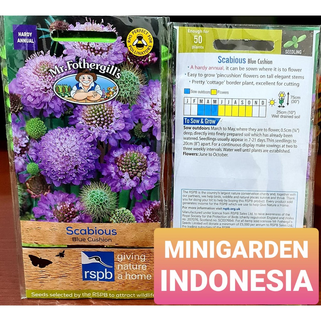 Benih Bunga SCABIOUS BLUE CUSHION PACK 50 BIJI bibit bunga import f1 Mr Fothergills