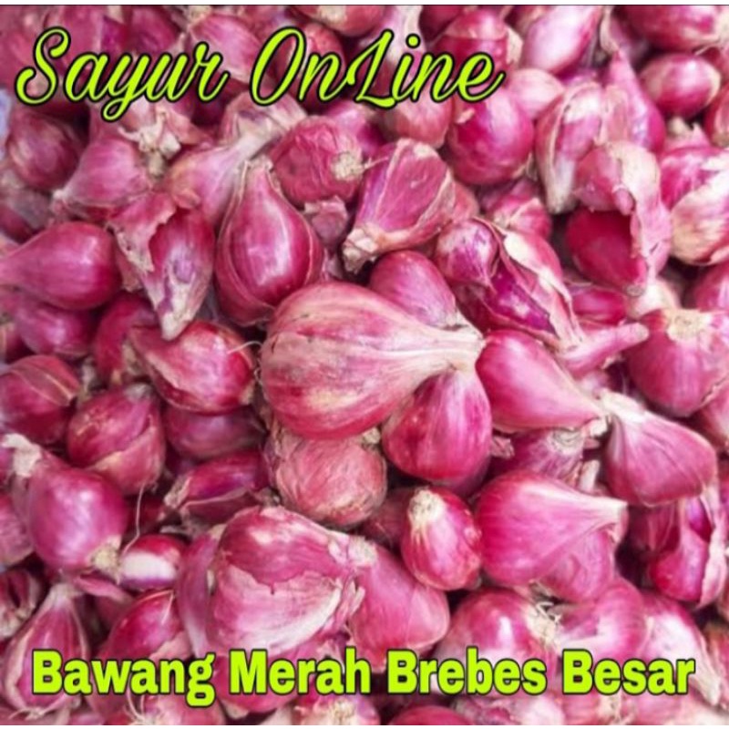 

bawang merah Brebes '1KG'