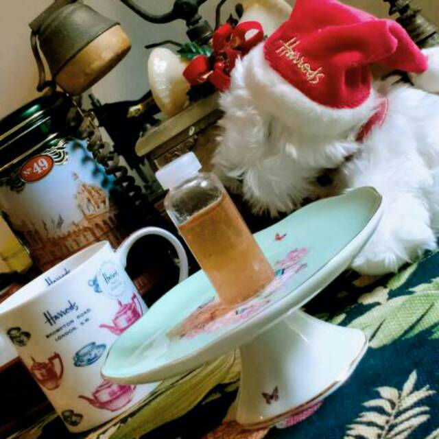 GROWTH FACTOR PLASMA DARAH NFA