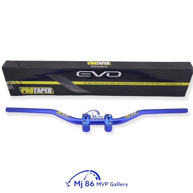 Stang Fatbar Protaper Evo Low + Busa Stang