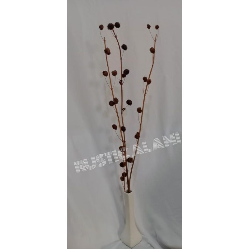 Pompom coklat - pompom kering - dried flower - bunga kering - bunga rustic
