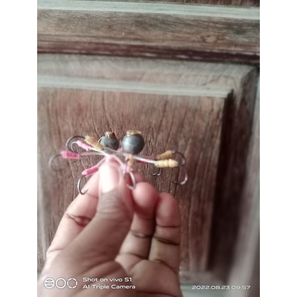 pancing garong matahari timah kecil
