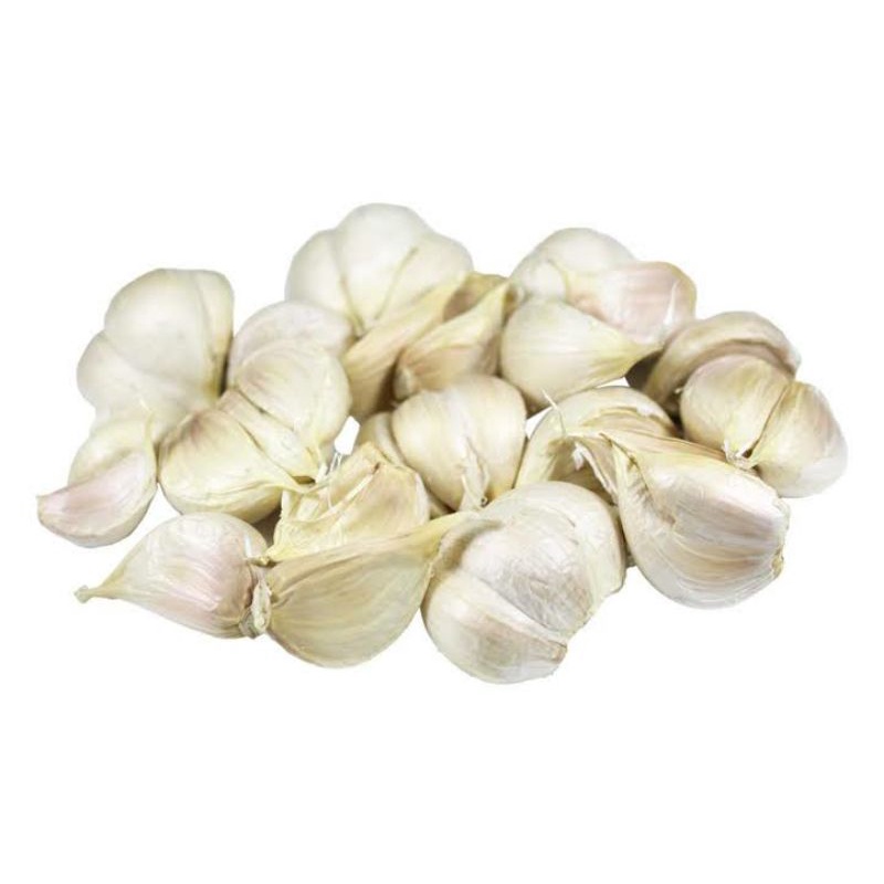 

bawang putih kating