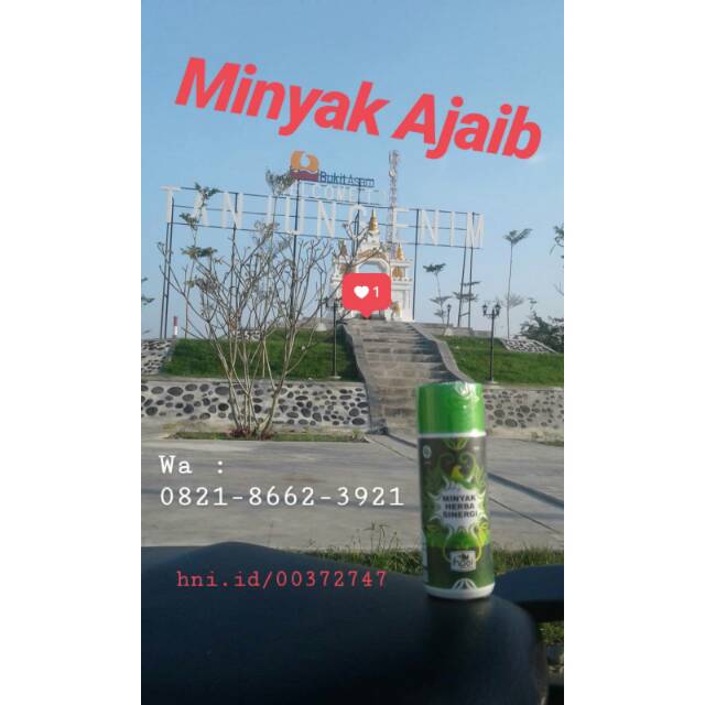 

Minyak Herba Sinergi (minyak butbut)