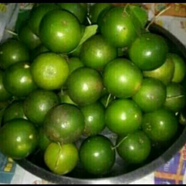 

Jeruk peras jerus jus jerus kasturi besar jeruk kualitas terbaik