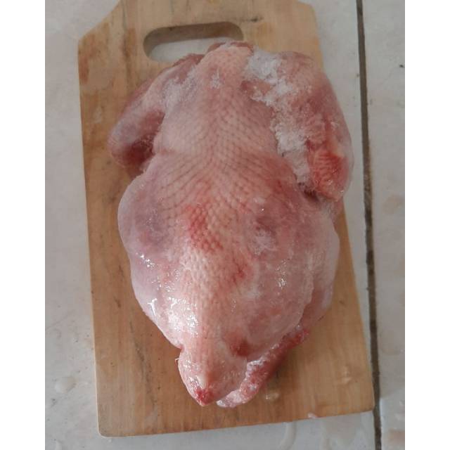 

DAGING AYAM FROZEN