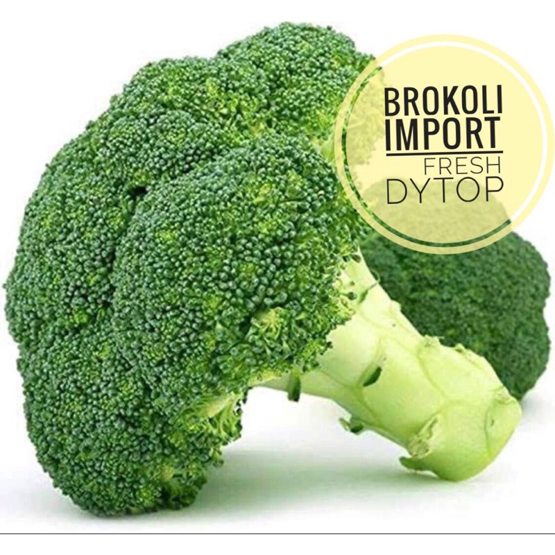 

Sayuran Brokoli Import Fresh Segar - Per 1 Kg