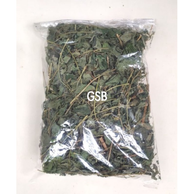 

Daun jelatang asli daun jelatang kering 100 gram