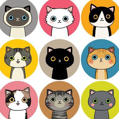 

stiker kucing luna, stiker kucing, stiker packaging, stiker dus unik
