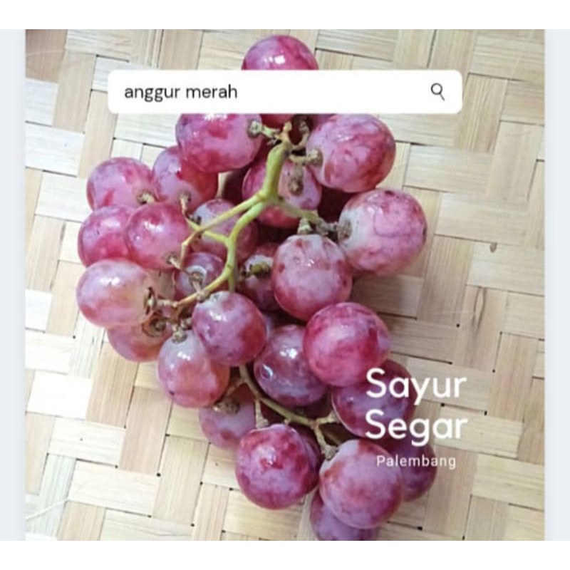 

Buah Anggur Merah Per 500 Gr Sayur Segar Palembang