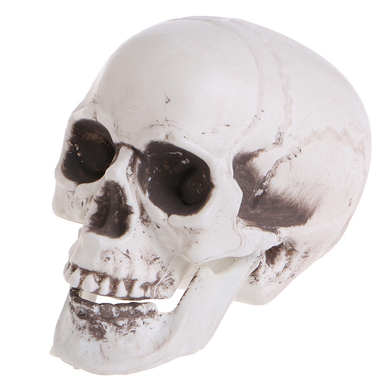 Mary Plastik Manusia Mini Skull Decor Prop Skeleton Untuk Kepala Halloween Coffee Bars Orna