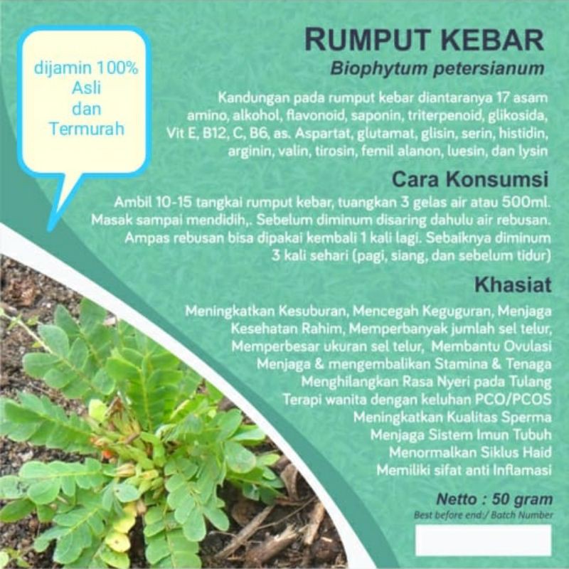 

Rumput kebar 500gram