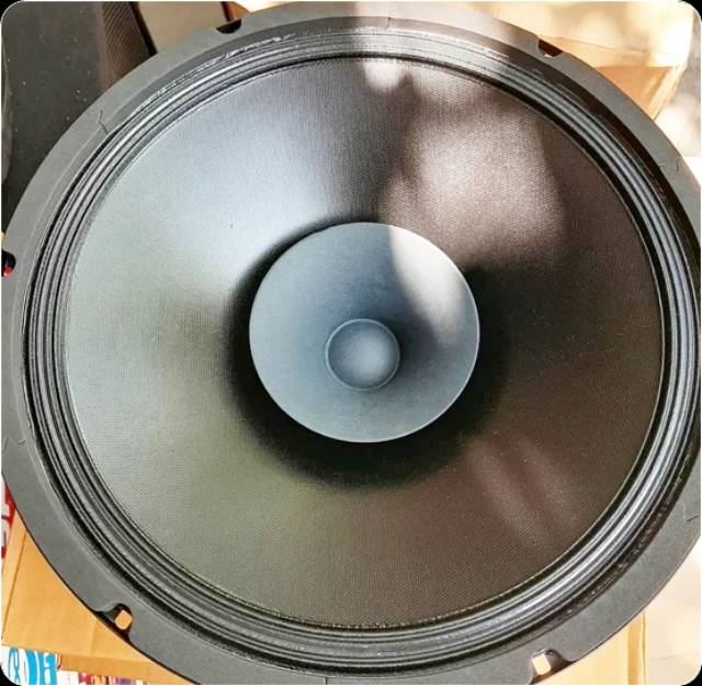 Speaker Acr 12in 1230 black full range