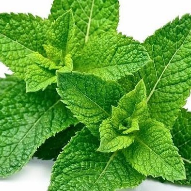 

Daun Mint Segar - - 250 gram