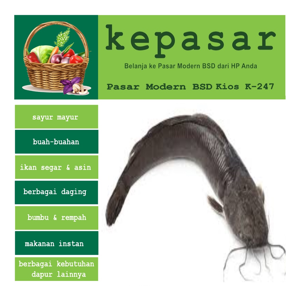 

Ikan Lele 500 g