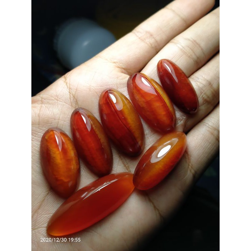 

PANDAN MERAH (1pics pandan merah)