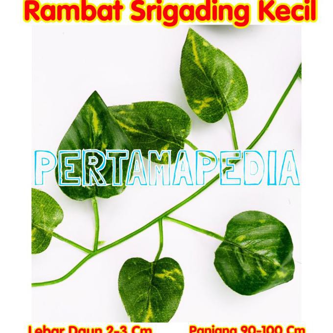 Daun Rambat Plastik/ Daun Rambat Palsu/ Daun Rambat Sintetis.