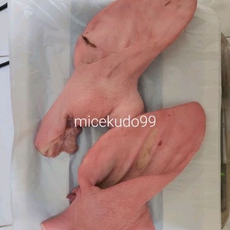 

KUPING BABI FRESH / PORK EAR SEGAR PIG EARS TELINGA