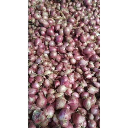 

Bawang merah