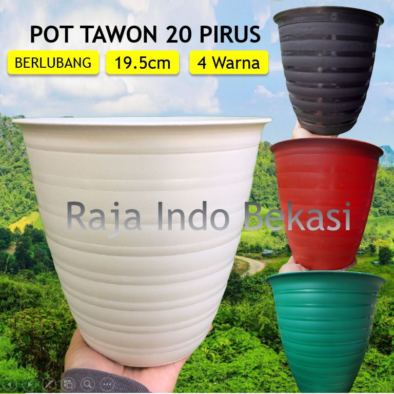 POT Tawon 20 Tirus Pirus 18 Lusinan 12 pcs