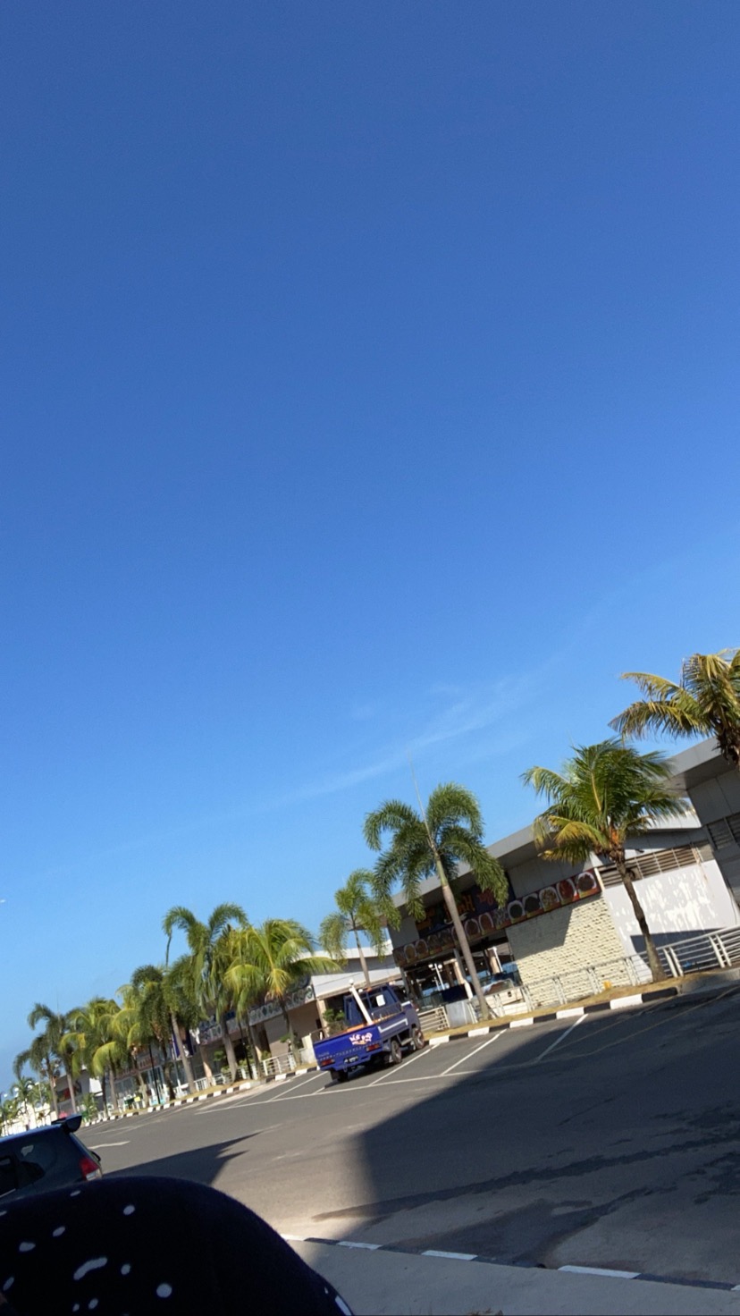 Cod Wallpaper Dinding Premium Motif Bunga Halus Silver Yellow  Best Seller Terbaru Termurah Terlaris