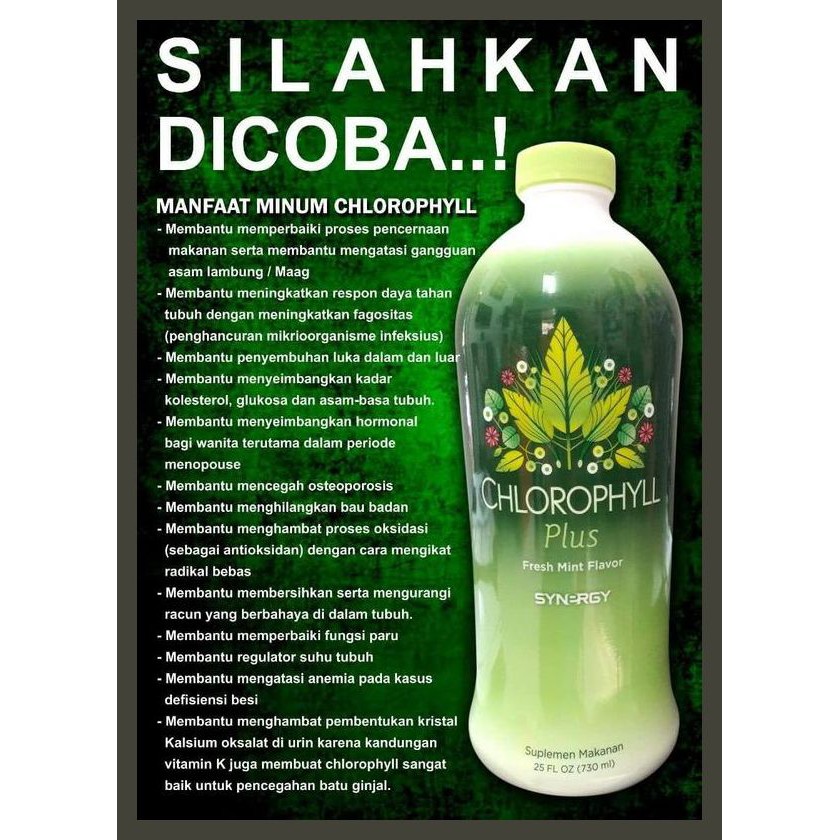 OBAT MENJAGA KESEHATAN USUS Chlorophyll Plus Synergy