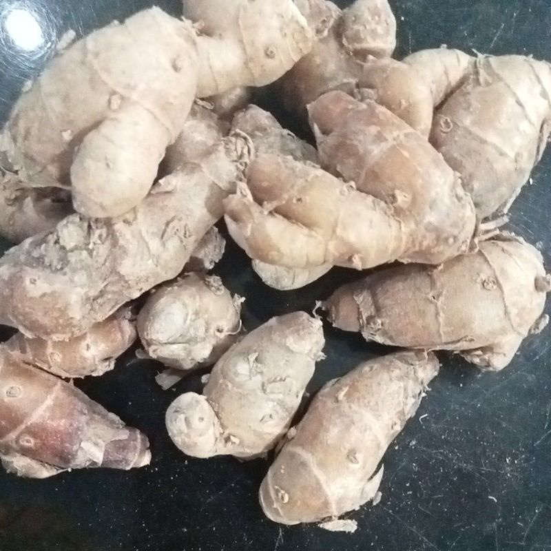 KENCUR FRESH UKURAN KECIl 1KG