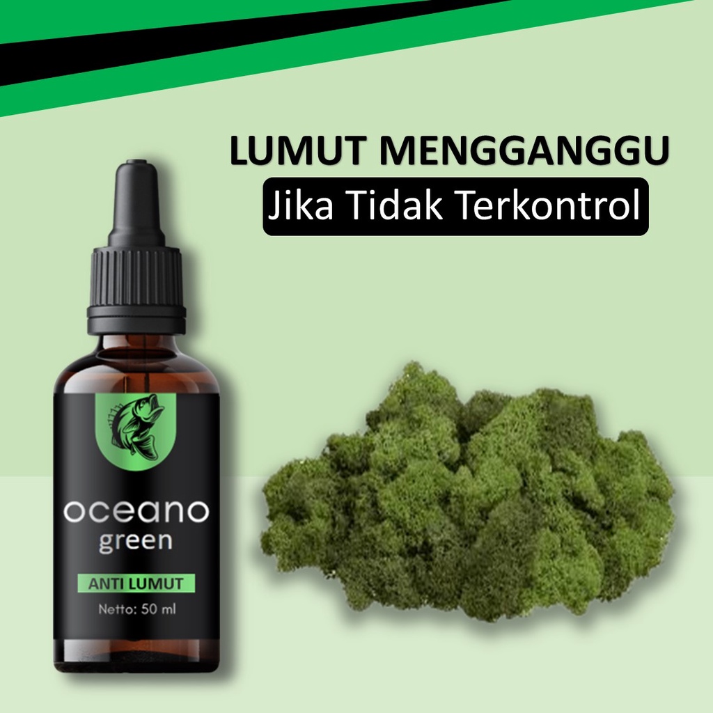 OCEANO GREEN ANTI LUMUT - BASMI LUMUT TAK TERKENDALI