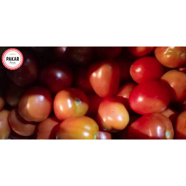 

Tomat Merah Super