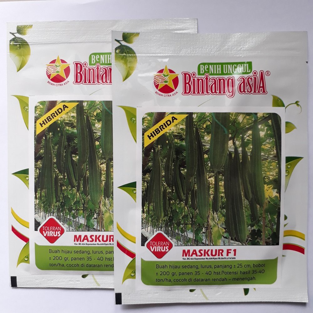 Benih Bibit Oyong Gambas MASKUR F1 - Bintang Asia Diskon