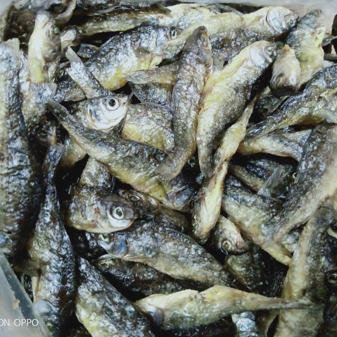 

[COD] Ikan Danau Bilih/Ikan Danau bilis [COD]
