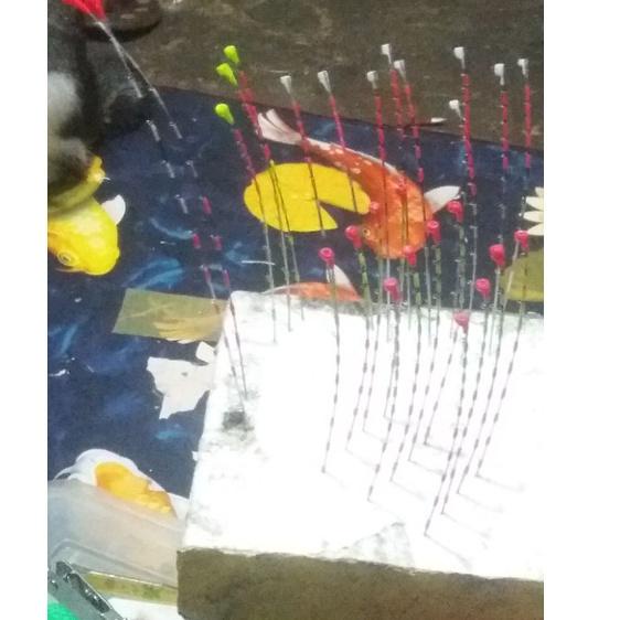 ENTUL NYOBOK [Bdt31au22l]