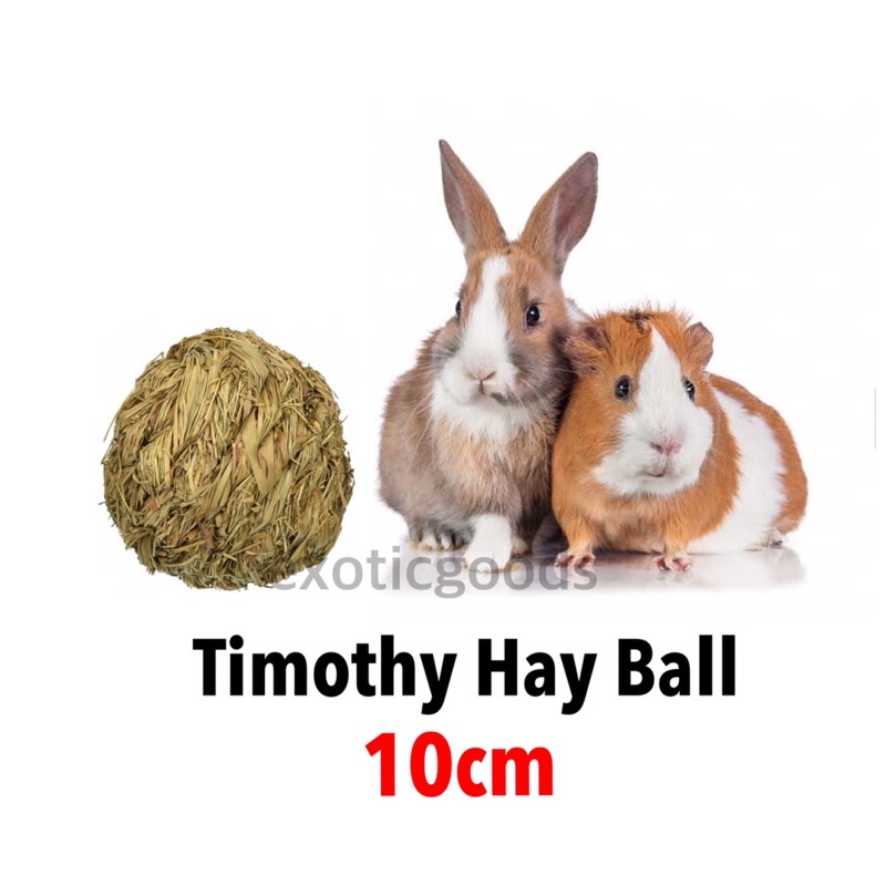 HAY BALL 10cm HAY BALL KELINCI BOLA MAINAN KELINCI MAINAN GUINEA PIG HAY BALL KELINCI MAINAN CHINCHILLA HAY BALL MARMUT HAY KELINCI BOLA RUMPUT KELINCI BOLA JERAMI