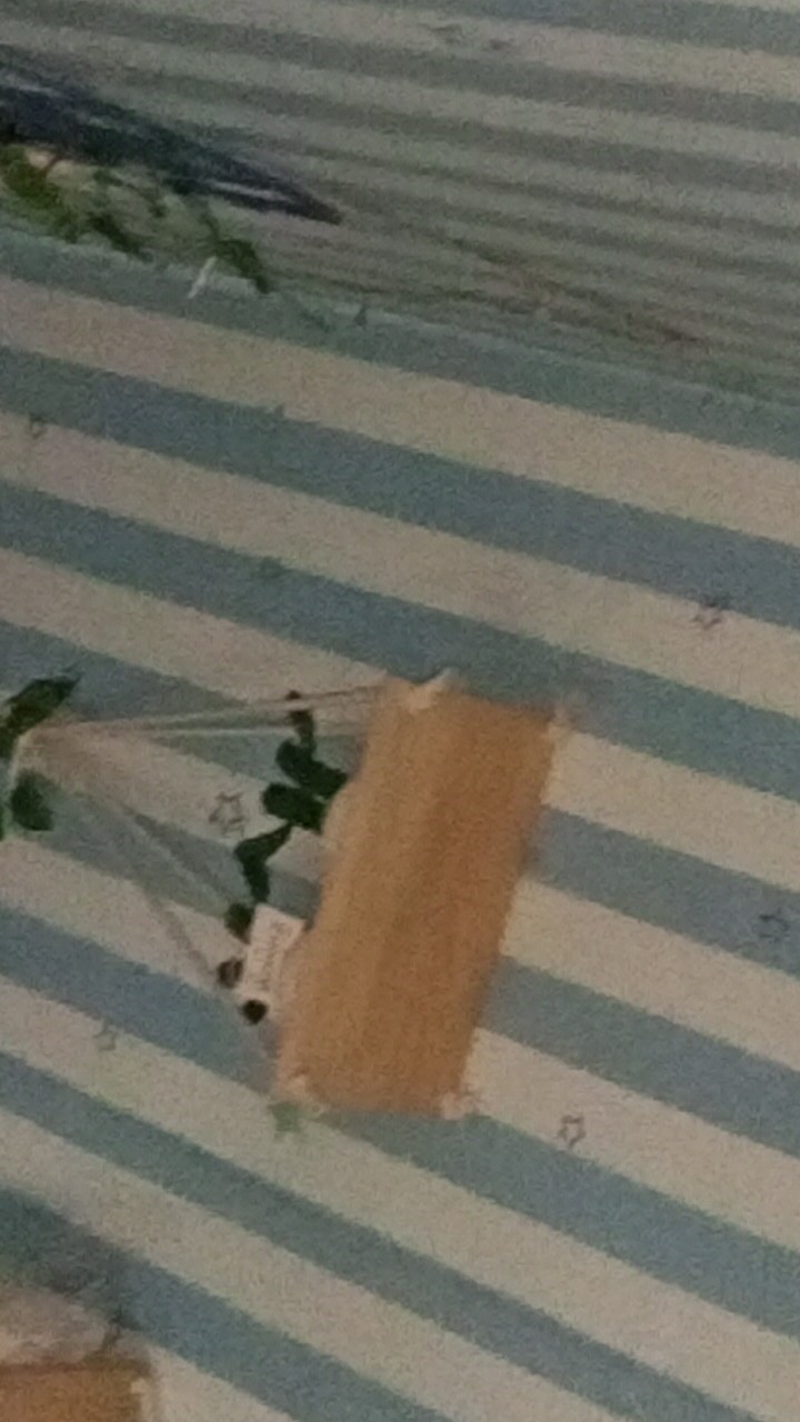 Homes Mystery Box (1 Jenis Produk)