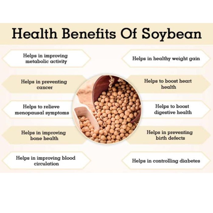 

Sf202V1S Kacang Kedelai Organik 1Kg Vxv2X01V