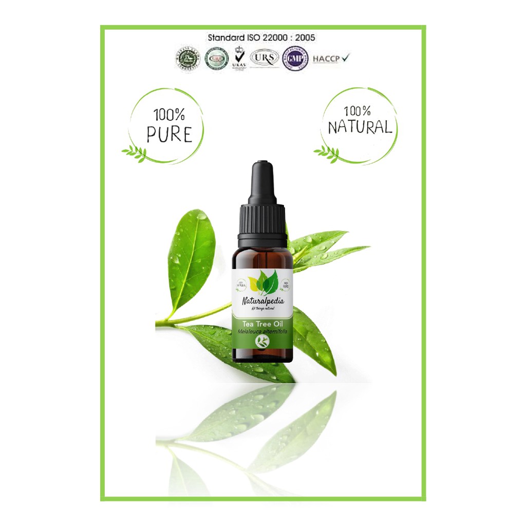 Pure Tea Tree Essential Oil / Minyak Esensial Atsiri TeaTree Murni 10ml