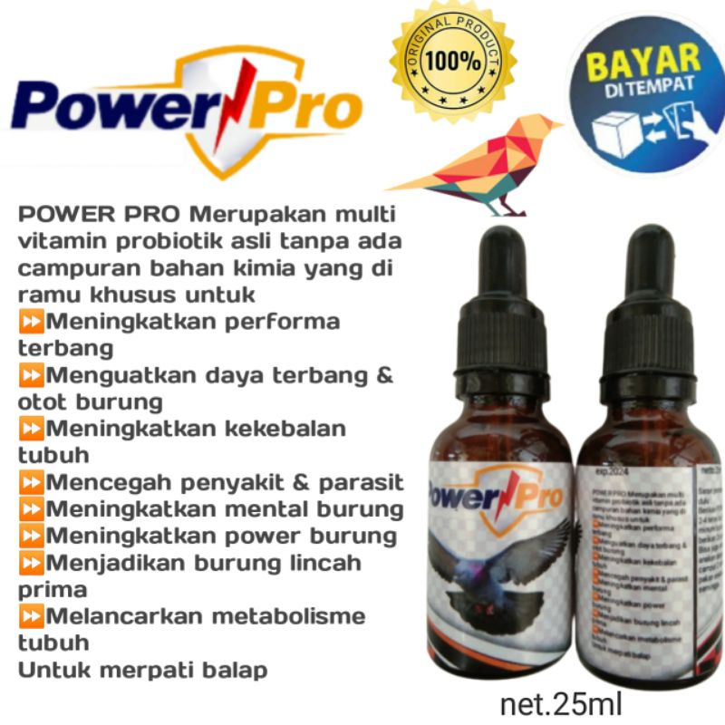 Vitamin burung merpati kolong Suplemen merpati Suplemen merpati kolong Jamu merpati giring keket Jam