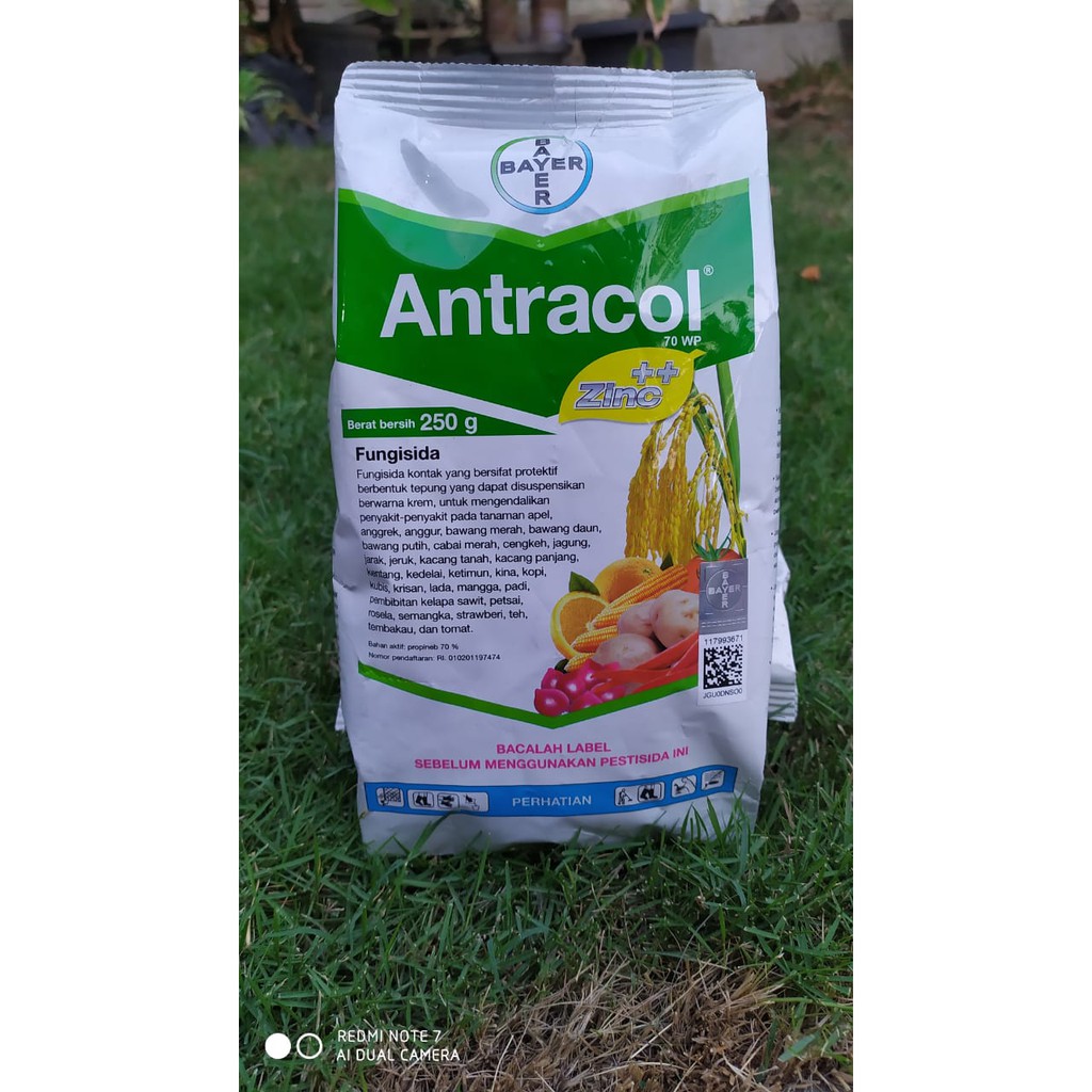 Antracol 70WP fungisida 250gr