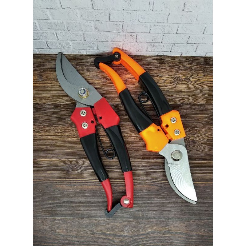 GUNTING TANAMAN RANTING POHON KECIL