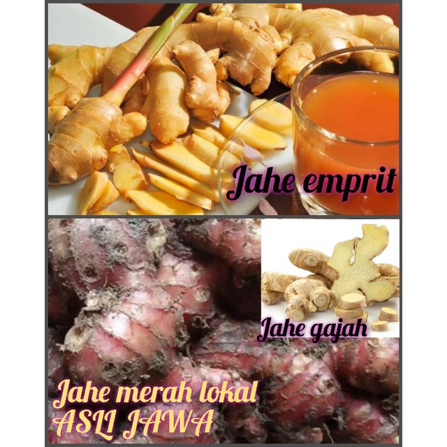 

jahe emprit / jahe gajah segar alami 100gr
