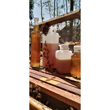 

madu murni tanpa proses
