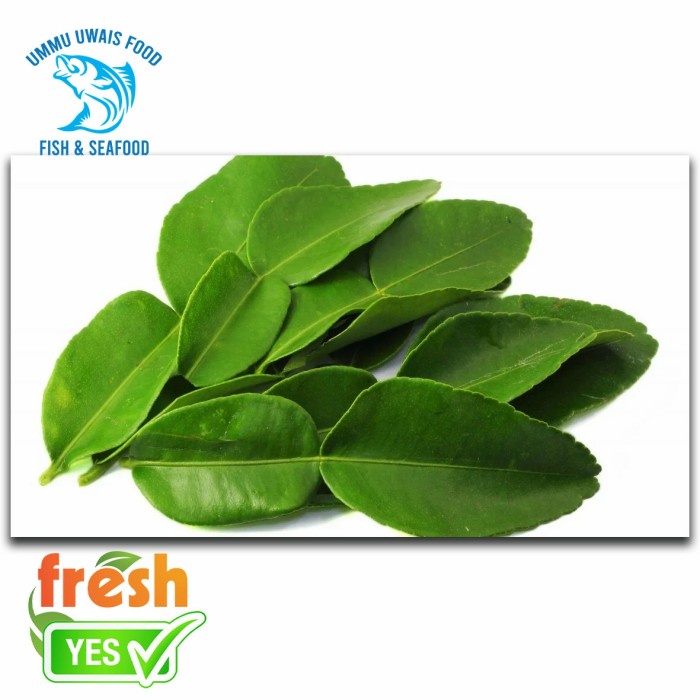 

Daun Jeruk Berkualitas 50 Gram
