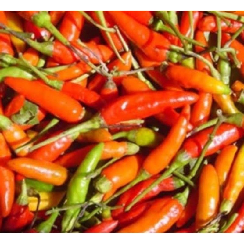 

rawit merah ori 100g