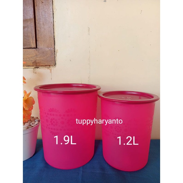 fuchia canister fanta raya tupperware ( 2 )