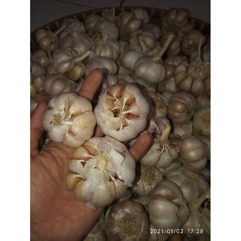 

Bawang Putih Bersih Kualitas Super 1kg