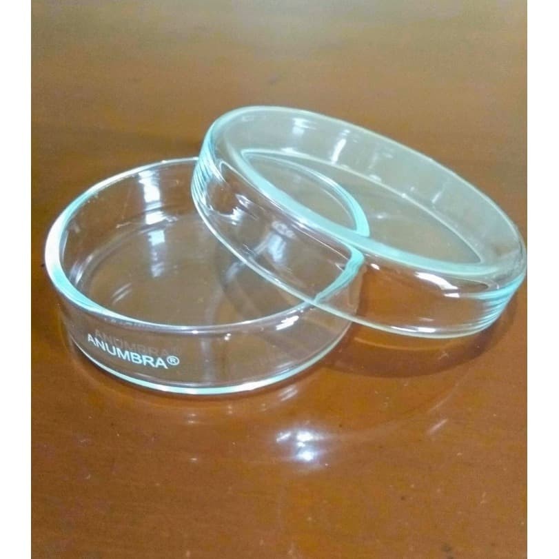 Petridish Cawan Petri Anumbra Size 60 mm